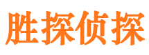 马尾侦探公司